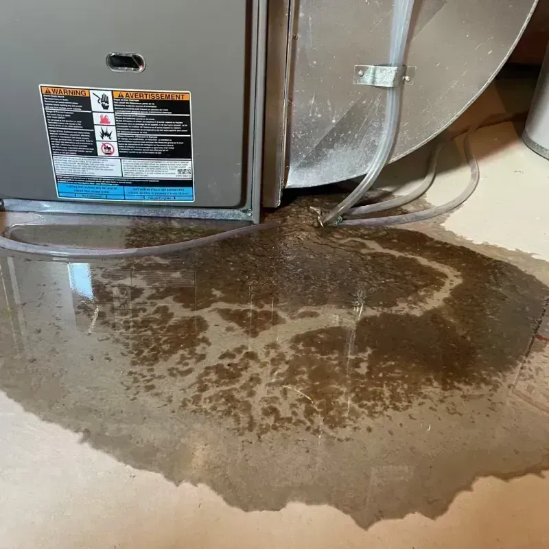 Appliance Leak Cleanup in Scotts Valley, CA